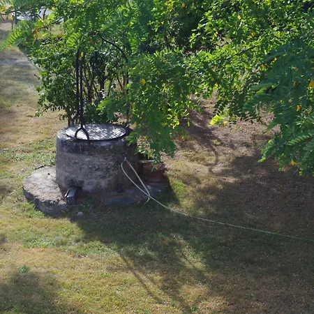 Les Trois Cedres Gasthuis Saint-Ouen-d'Aunis