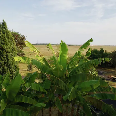 Les Trois Cedres Guest house Saint-Ouen-d'Aunis
