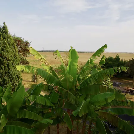 Les Trois Cedres Guest house